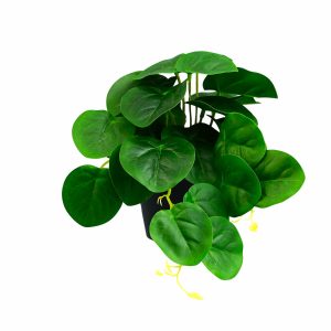 Maceta Negra Hoja Verde GUANGDONG XINXIN Unidad