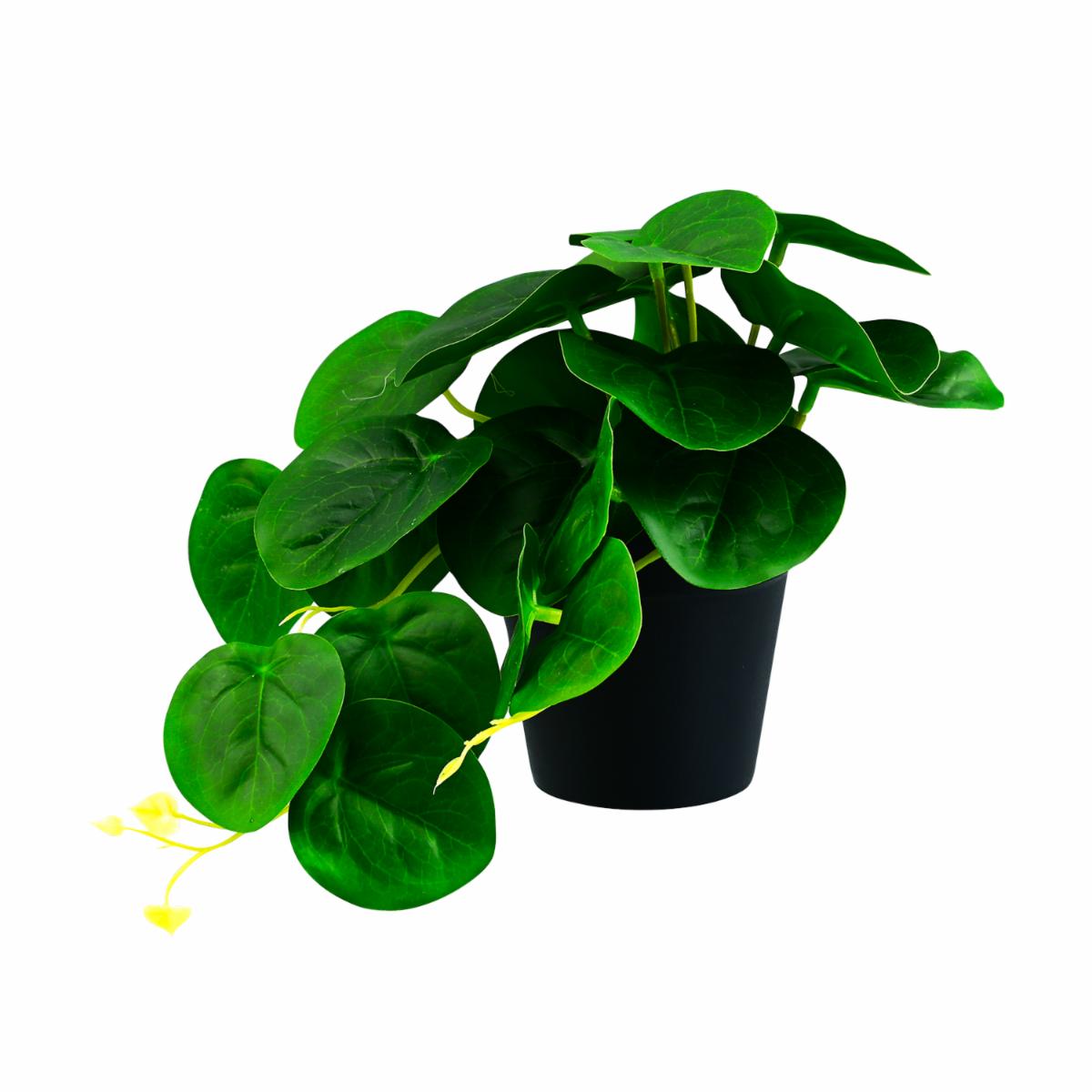 Maceta Negra Hoja Verde GUANGDONG XINXIN Unidad - Image 2