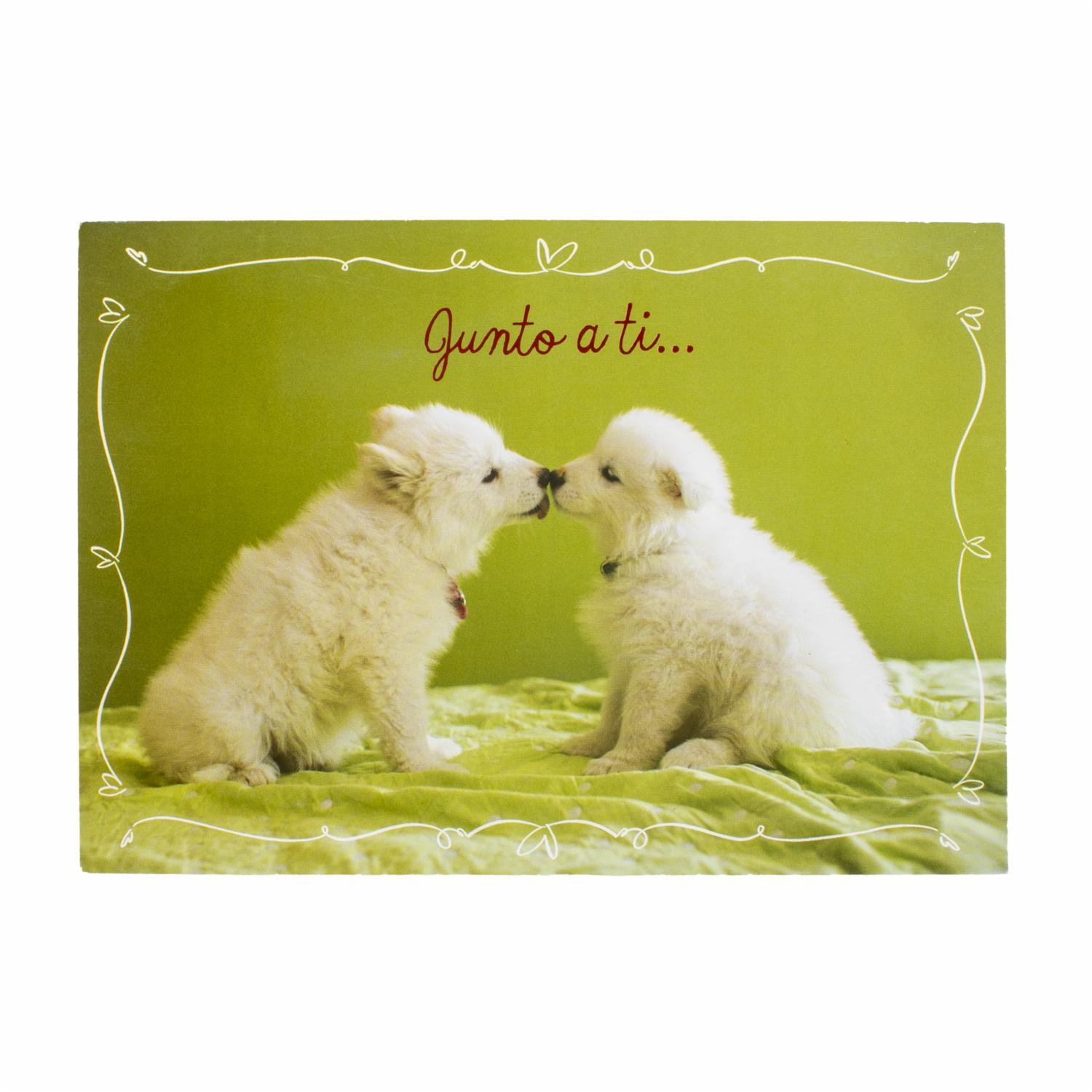 Tarjeta Toda Ocasión HALLMARK 14,6 X 21,1 Cm