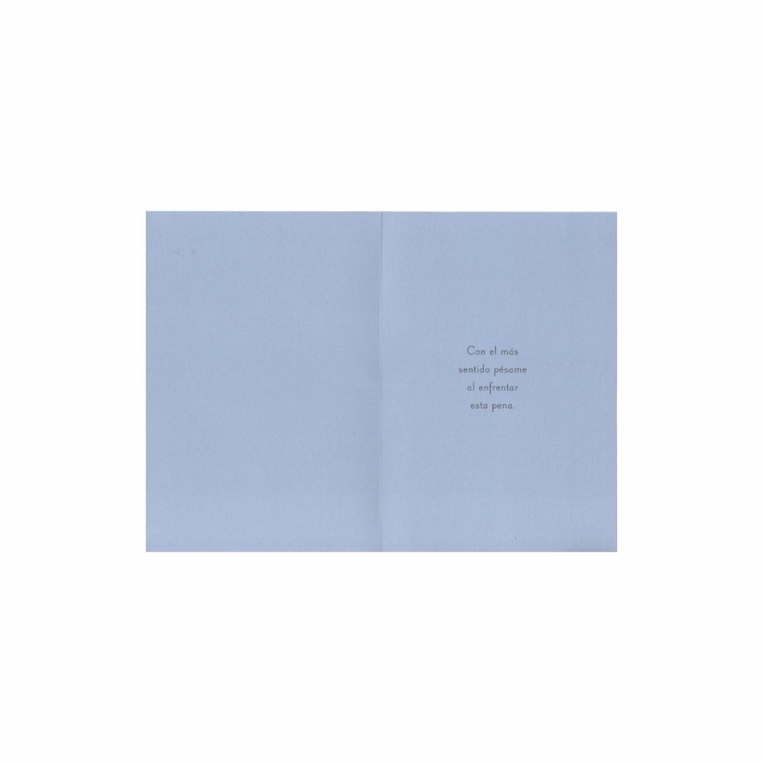 Tarjeta Toda Ocasión HALLMARK 14,6 X 21,1 Cm - Image 2