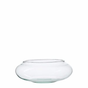 Acuario Palma Numero 3 Transparente OTÚN Unidad