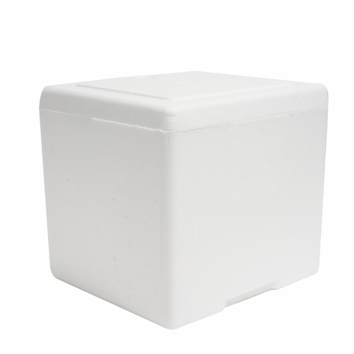 Hielera Térmica Con Tapa PLASTEX 9 Litros - Image 2