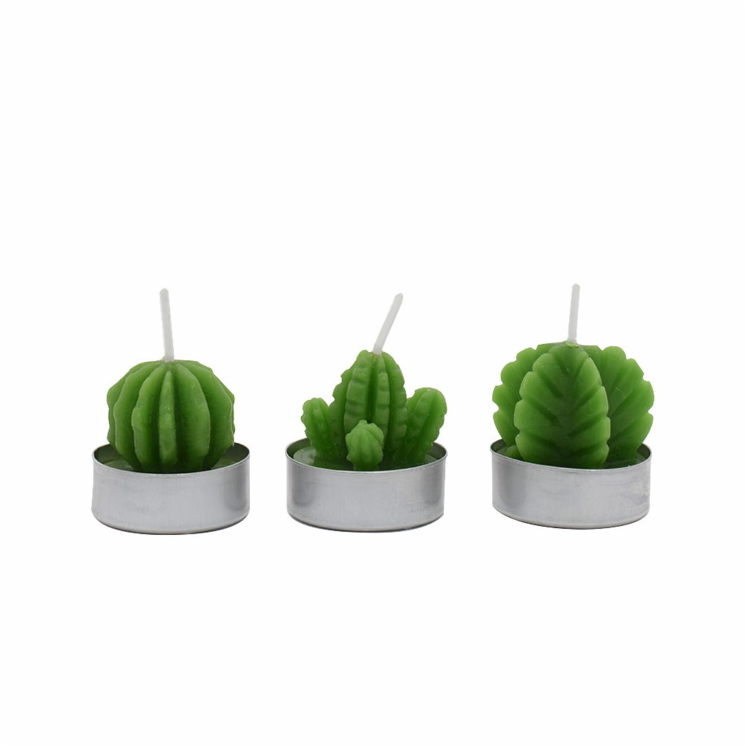 Set Velas Cactus LAVEL X 3 Uds