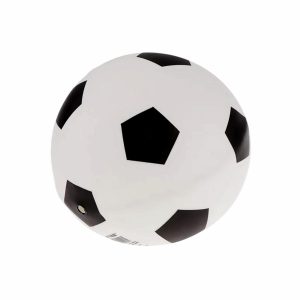 Pelota De Futbol IECA Número 5