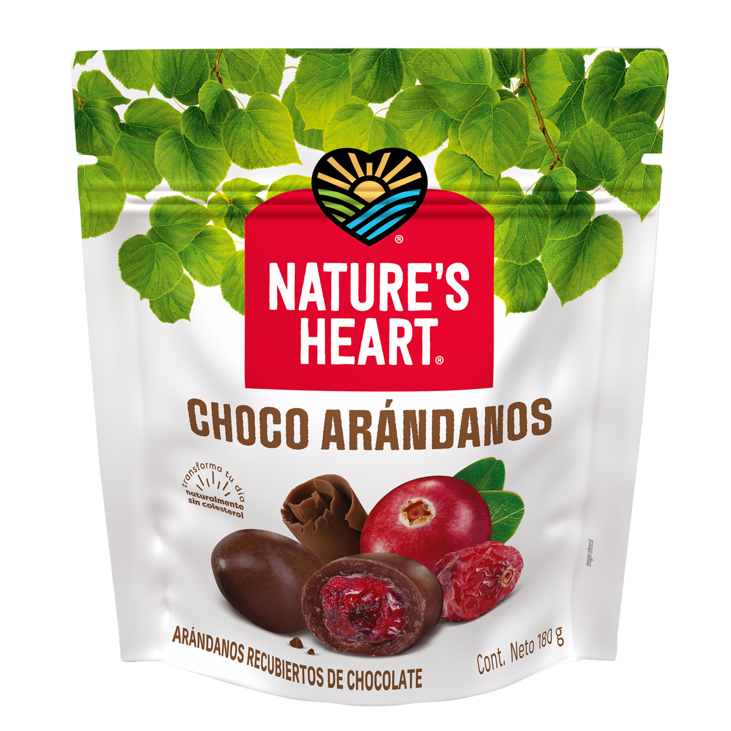 Frutos Secos Choco Arándanos NATURE´S HEART 180 G