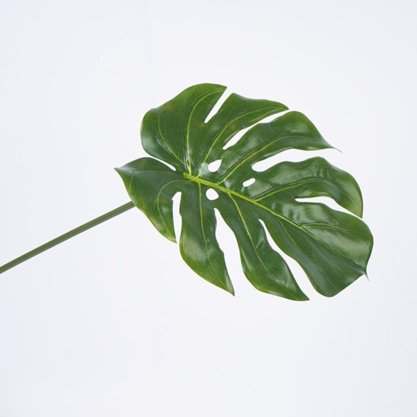 Hoja Decorativa FREE HOME - Image 2