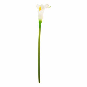 Cartucho Blanco FREE HOME
