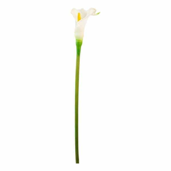 Cartucho Blanco FREE HOME