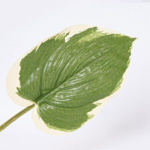 Hoja Decorativa FREE HOME