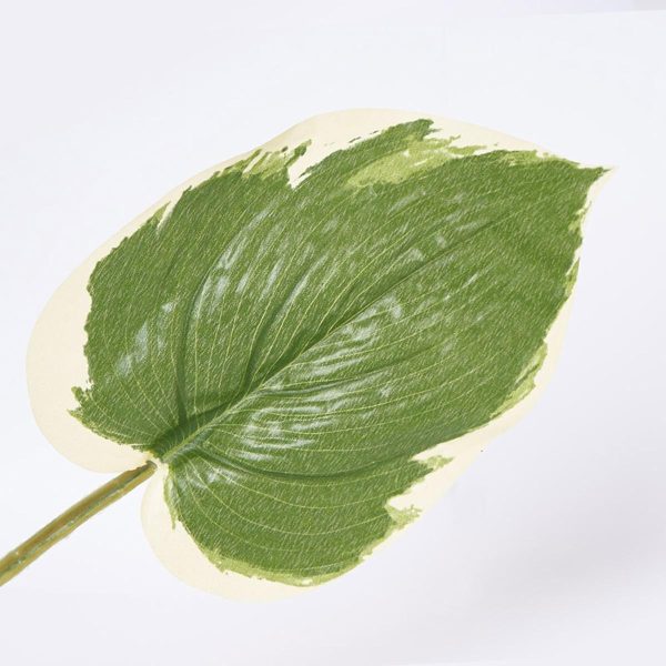Hoja Decorativa FREE HOME