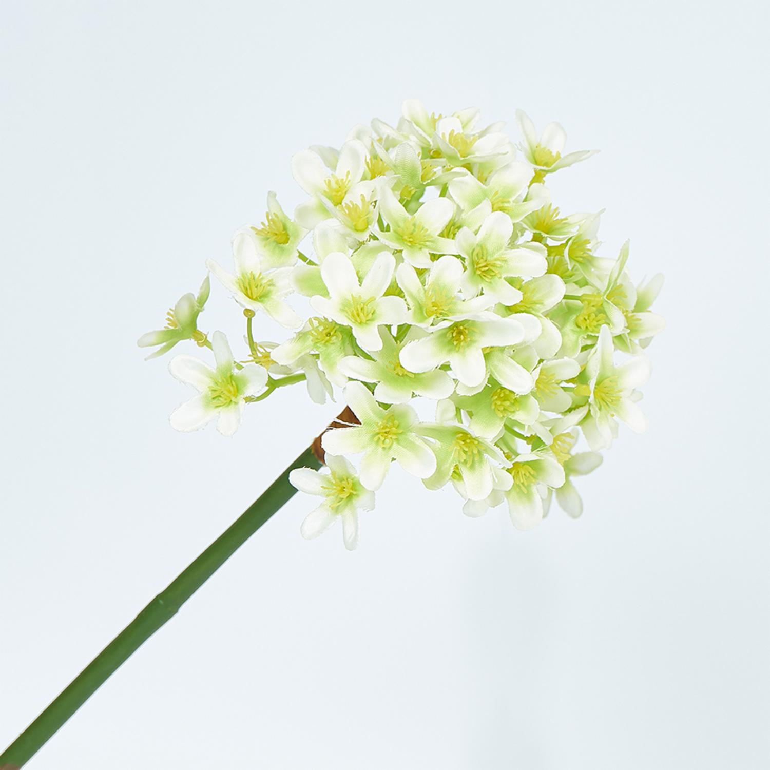 Ramillete Flores Pequeñitas FREE HOME Blanco