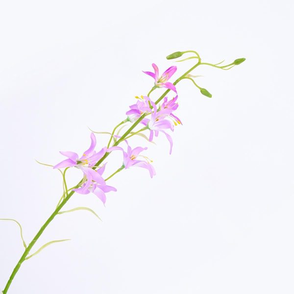 Ramo Flor FREE HOME