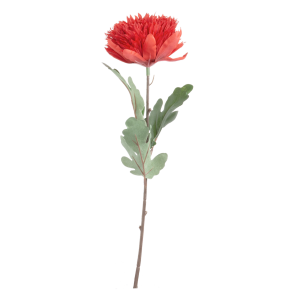 Flor Monuda FREE HOME Rojo