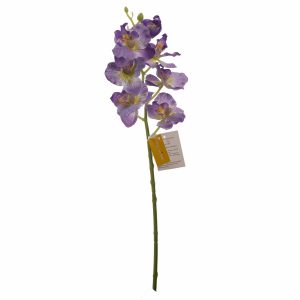 Orquídea Pequeña FREE HOME