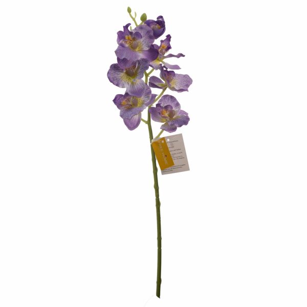 Orquídea Pequeña FREE HOME