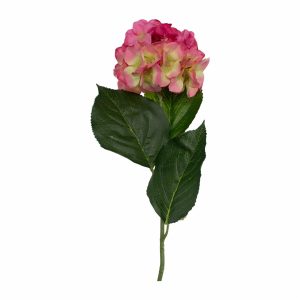 Hortensia 73 X 15 Cm FREE HOME