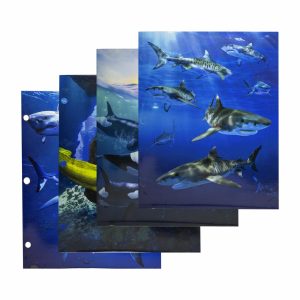 Carpetas Surtidas Con Diseño De Animales Marinos PROMARX Unidad