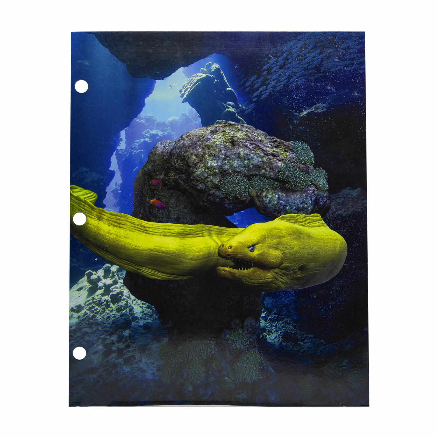 Carpetas Surtidas Con Diseño De Animales Marinos PROMARX Unidad - Image 3