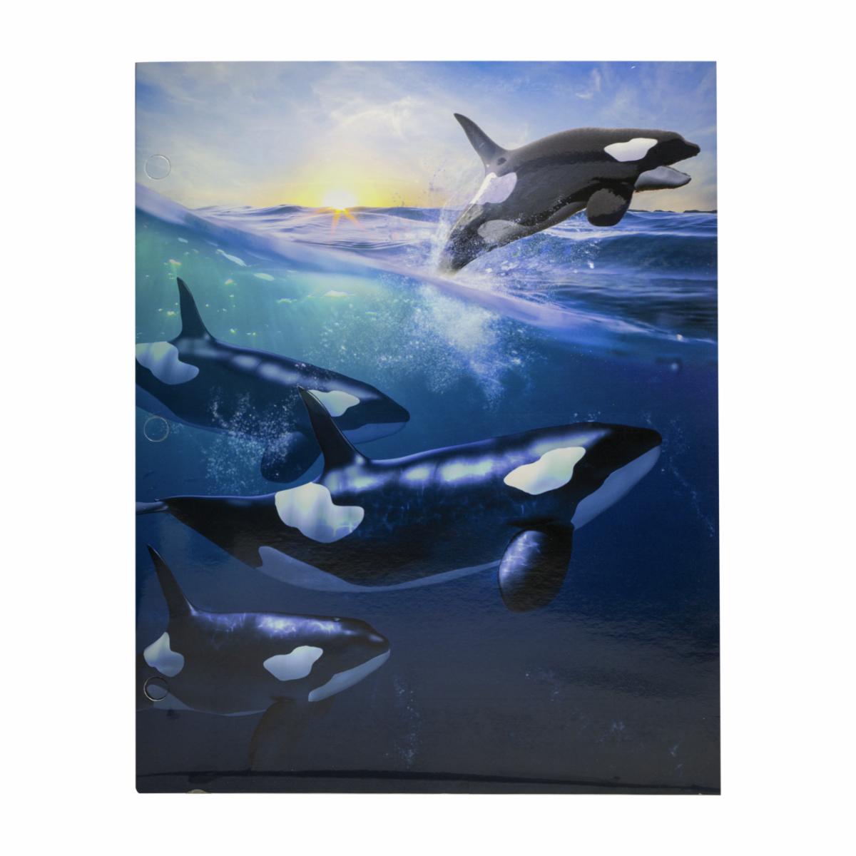 Carpetas Surtidas Con Diseño De Animales Marinos PROMARX Unidad - Image 4