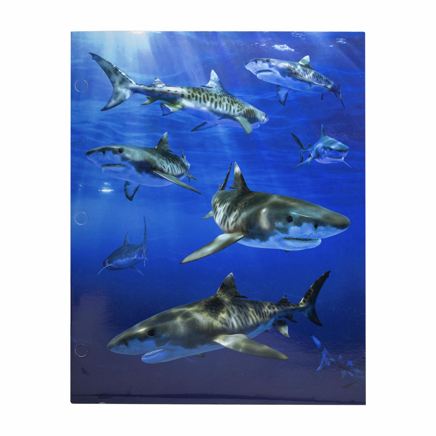 Carpetas Surtidas Con Diseño De Animales Marinos PROMARX Unidad - Image 5