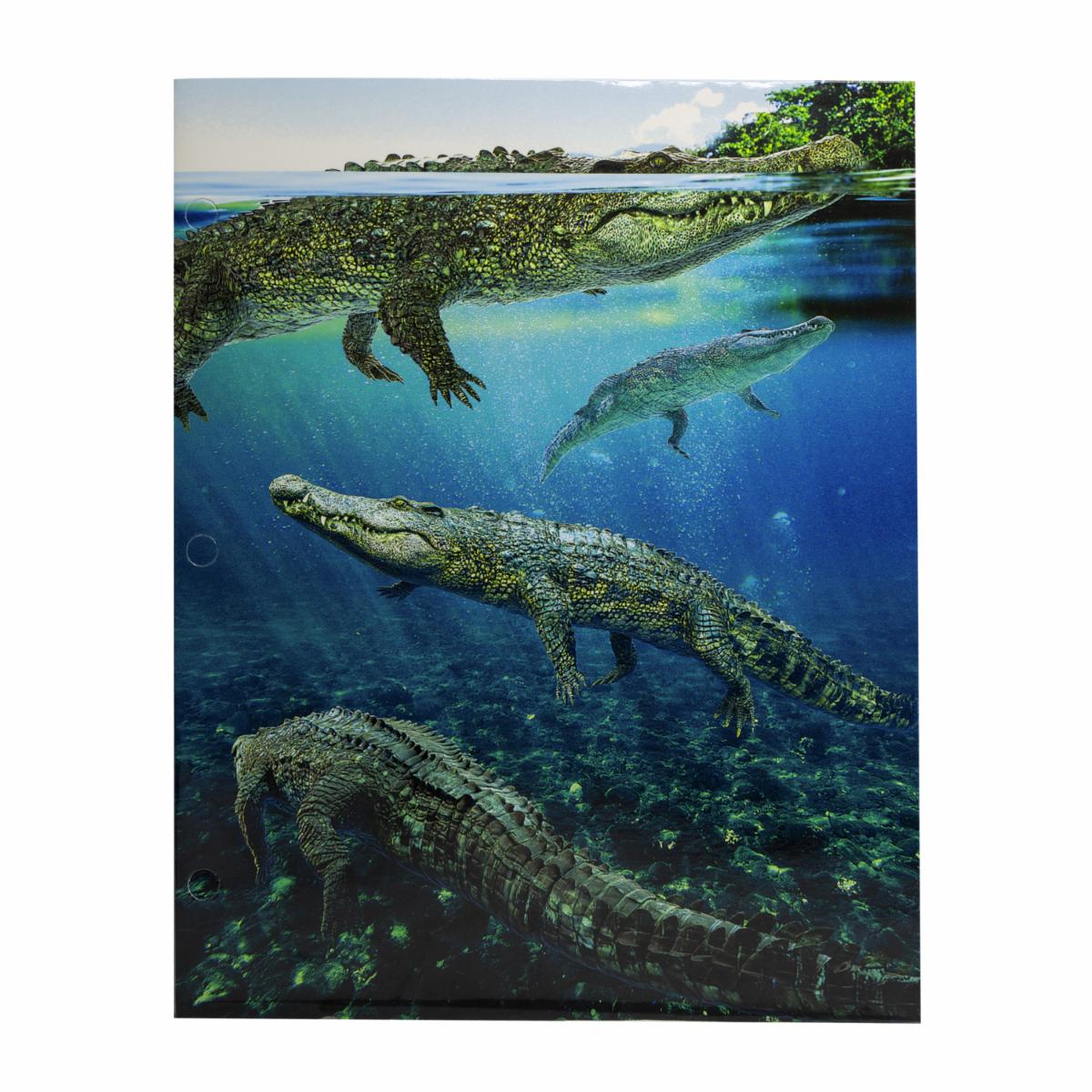 Carpetas Surtidas Con Diseño De Animales Marinos PROMARX Unidad - Image 6