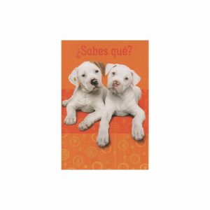 Tarjeta Toda Ocasión HALLMARK 14,6 X 21,1 Cm