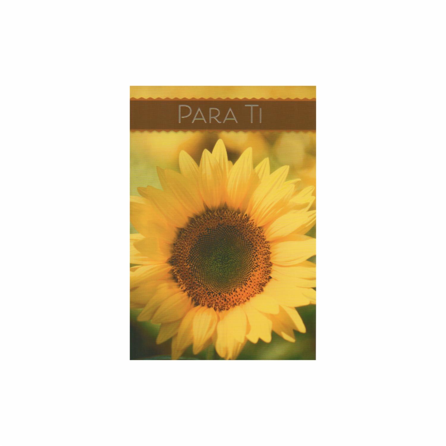 Tarjeta Toda Ocasión HALLMARK 14,6 X 21,1 Cm