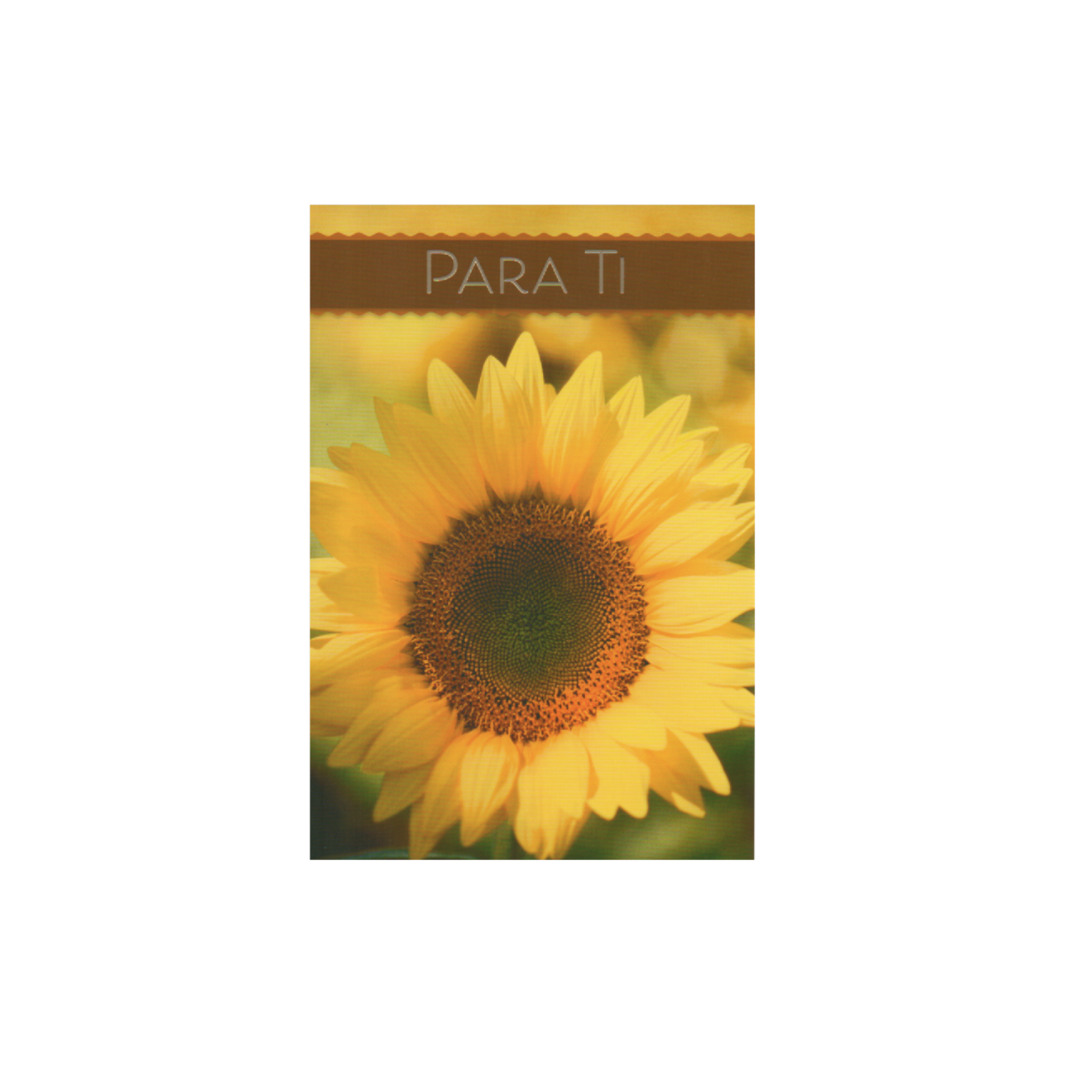Tarjeta Toda Ocasión HALLMARK 14,6 X 21,1 Cm