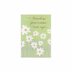 Tarjeta Felicitación Flores HALLMARK 1 Pieza