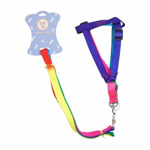 Collar Para Mascota Y Correa Colores Mix BTA PET Talla Mediano