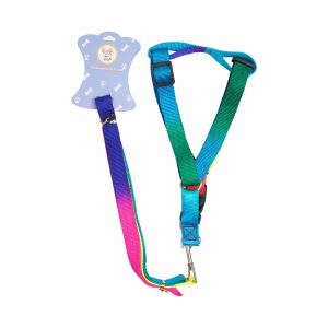 Collar Para Mascota Y Correa Colores Mix BTA PET Talla Grande