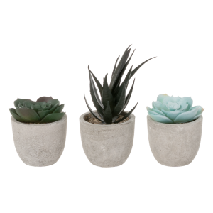 Set Suculentas Artificiales Con Maceta SKYLARK 3 Piezas