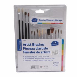 Set De Pinceles Tamaño Surtido LPS X15 Uds