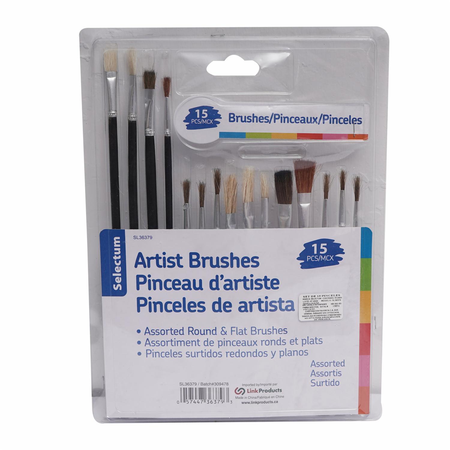 Set De Pinceles Tamaño Surtido LPS X15 Uds