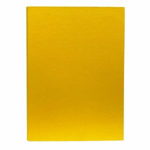 Carpeta 2 Argollas Bicolor Amarilla IDEAL A4