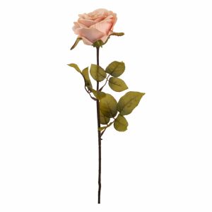 Rosa 67 X 8 Cm FREE HOME Rosado
