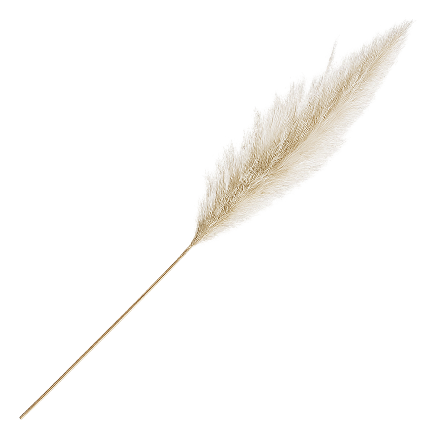 Flor Decorativa Paja Sigse Seca Beige SKYLARK 70 Cm