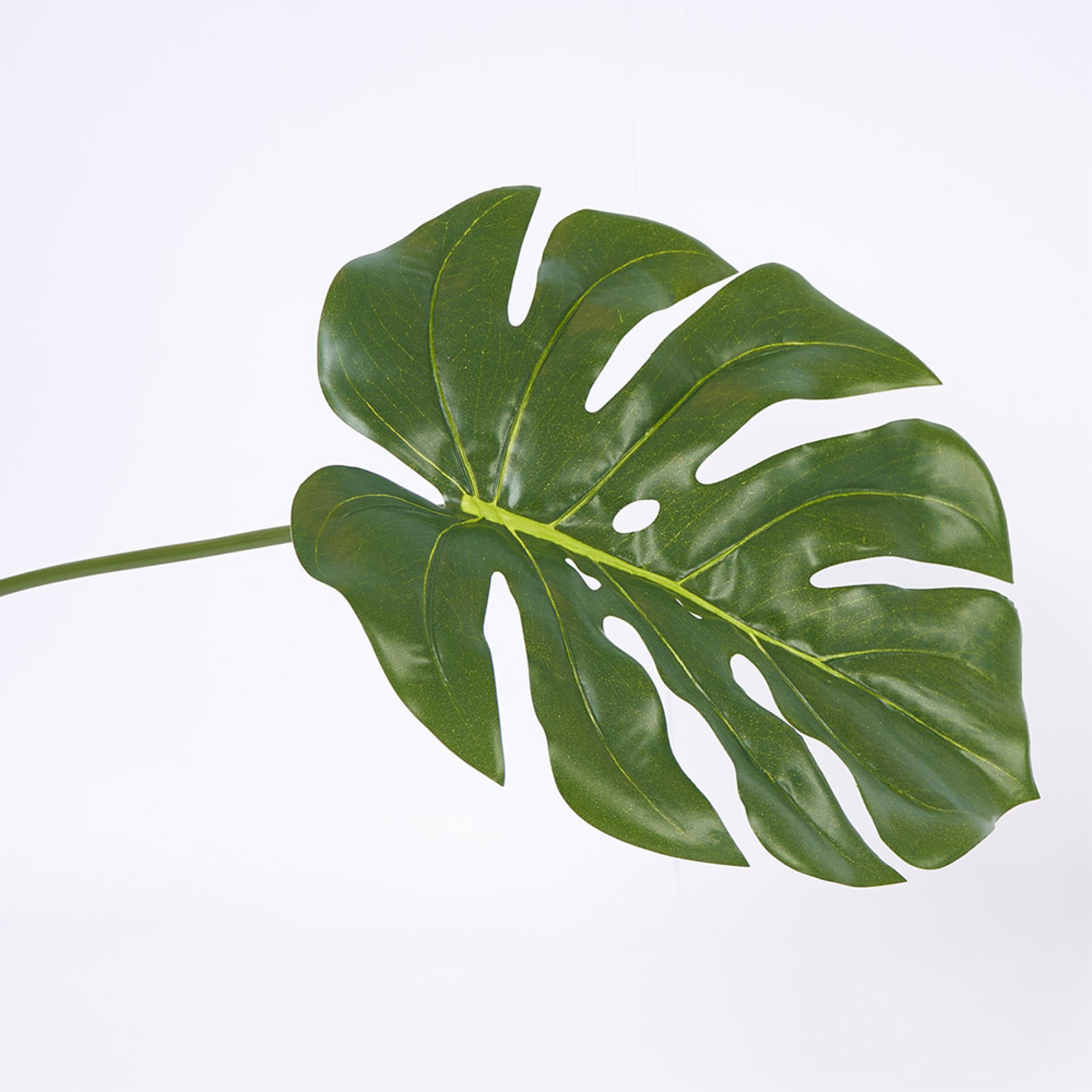 Hoja Decorativa FREE HOME Verde